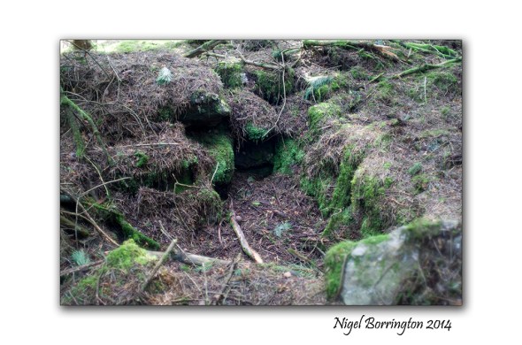 Grave and cap stone 3