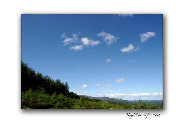 Look up at the sky 2