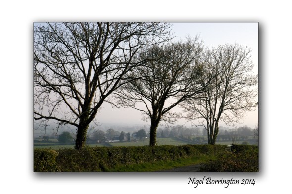 Saturday morning on coolagh hill 1