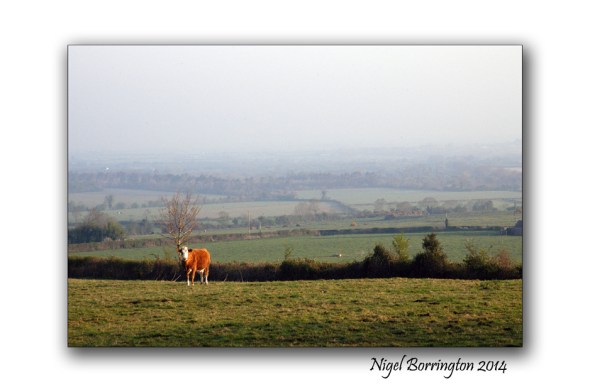 Saturday morning on coolagh hill 2