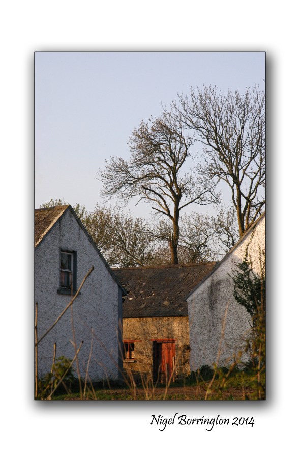 Saturday morning on coolagh hill 7