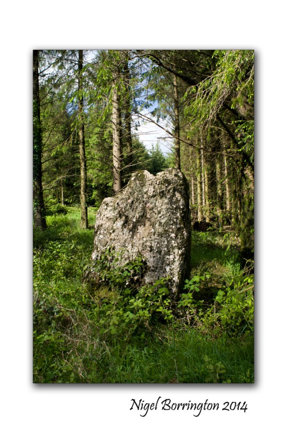 Standing stones 6