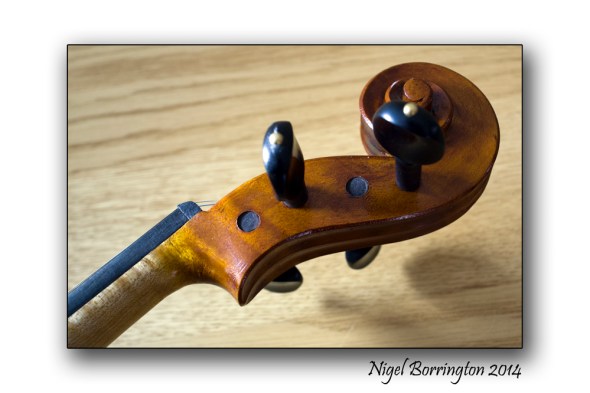 Violin 6
