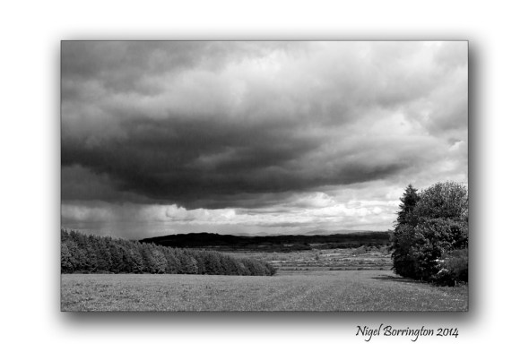 Black and white landscape 2