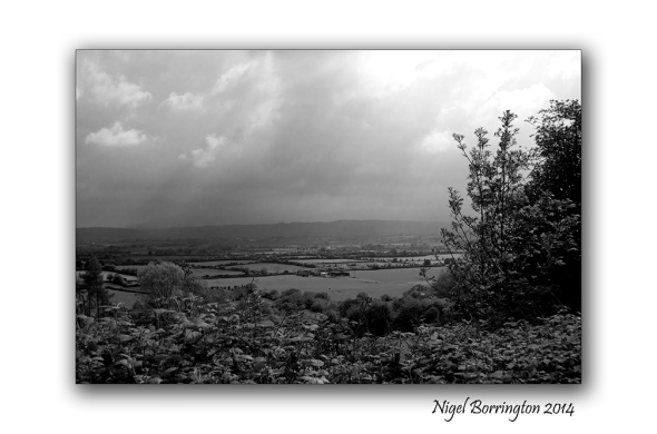 Black and white landscape 3
