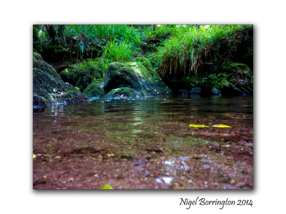 Down in the rocky river 2