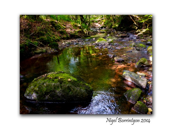 Down in the rocky river 3