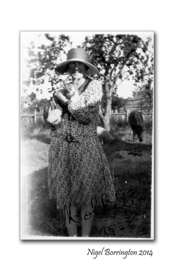 Life from Ireland to America 7