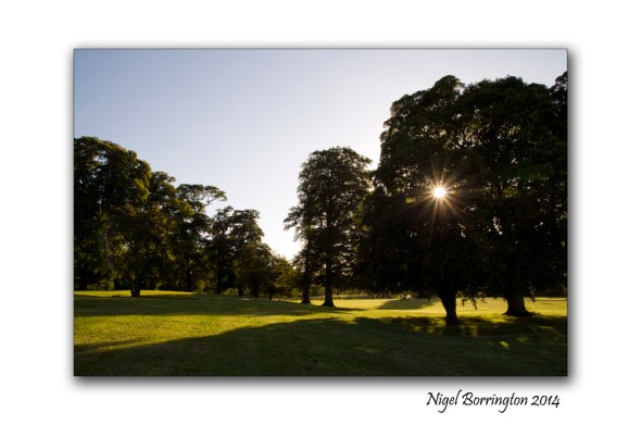 Lyrath House Estate  2