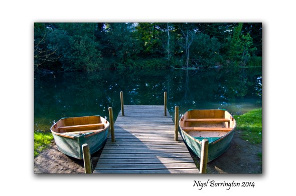 Lyrath House Estate  6