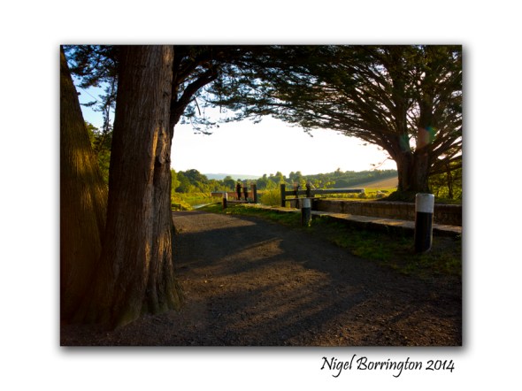Golden Evening on the river Barrow kilkenny 3