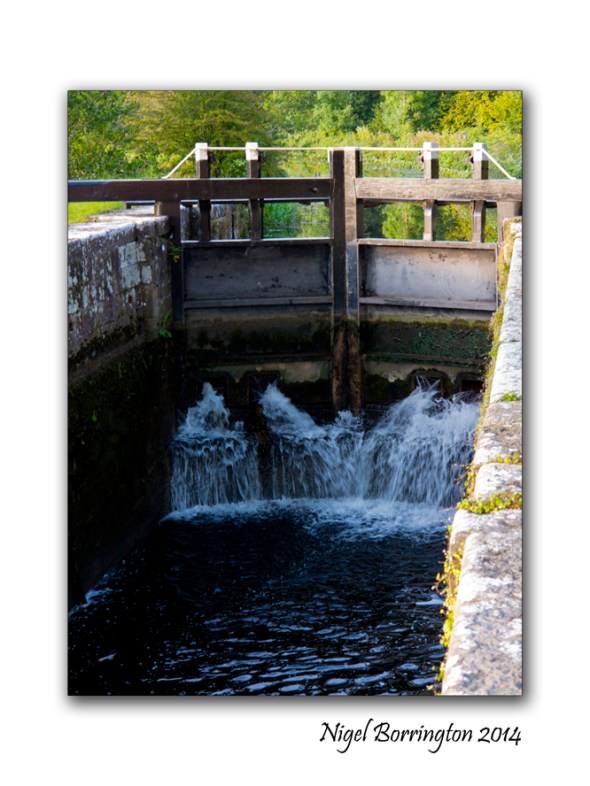 Golden Evening on the river Barrow kilkenny 6