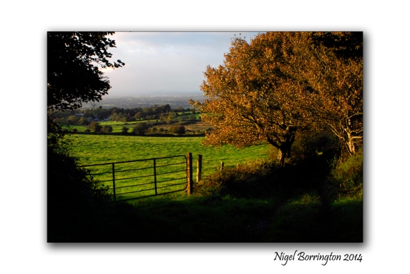 September Kilkenny Landscape 1