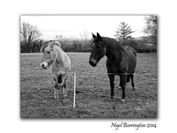 As winter falls upon the Farm 2