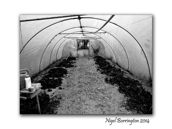 As winter falls upon the Farm 6