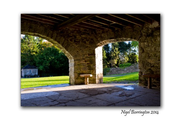 Jenkinstown park Kilkenny 1