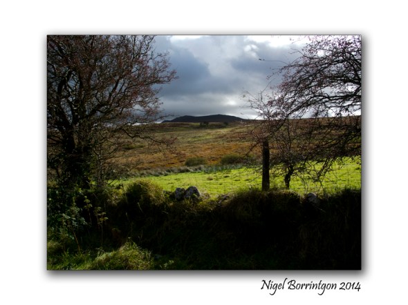 Monday down an Irish lane 11