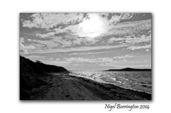 black and white challenge 6