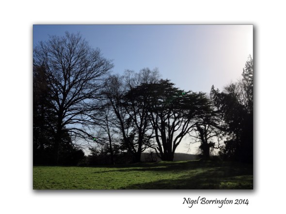 Doneraile Wildlife Park 3