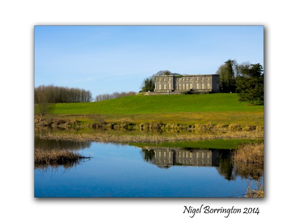 Curraghchase Forest Park, Ireland Landscape photography : Nigel Borrington