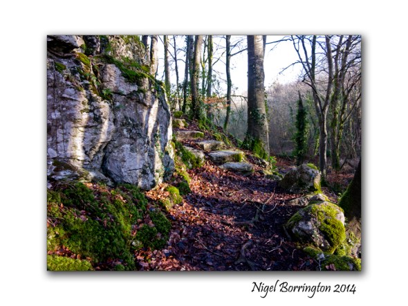 Doneraile Wildlife Park 6