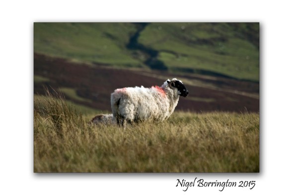 Its the weekend so get outside Landscape Photography by Nigel Borrington