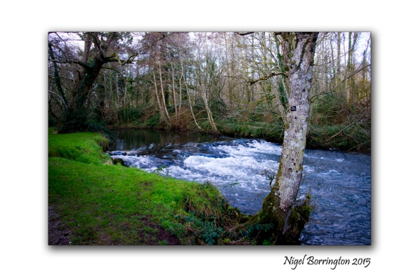 At the rivers edge 1