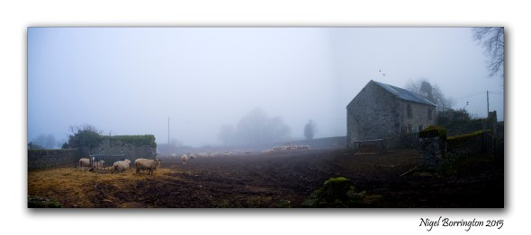 Images of County Kilkenny Sheep farm in the winter Nigel Borrington