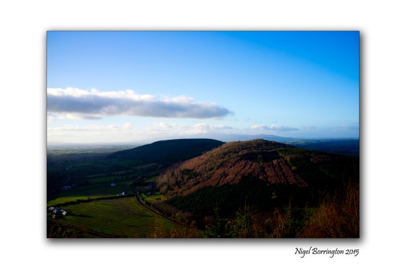 An evening in the hill side woods 4