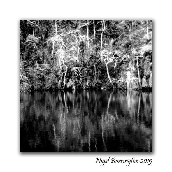 Dark water Mondays 2