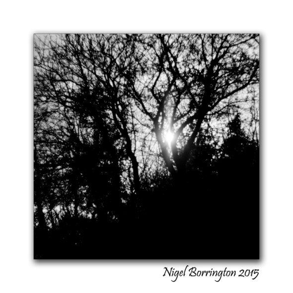 Dark water Mondays 3