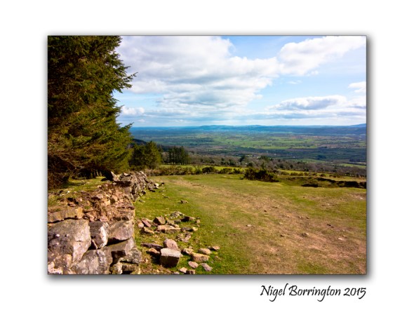 It the weekend so get out into the country 11