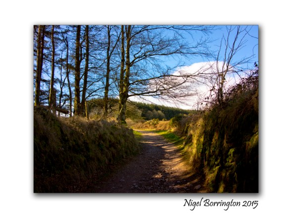 It the weekend so get out into the country 9