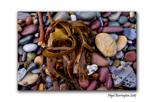 On the Beach April 2015 2