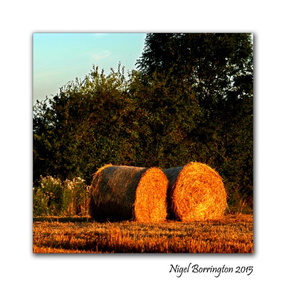 Kilkenny Landscape Images 04