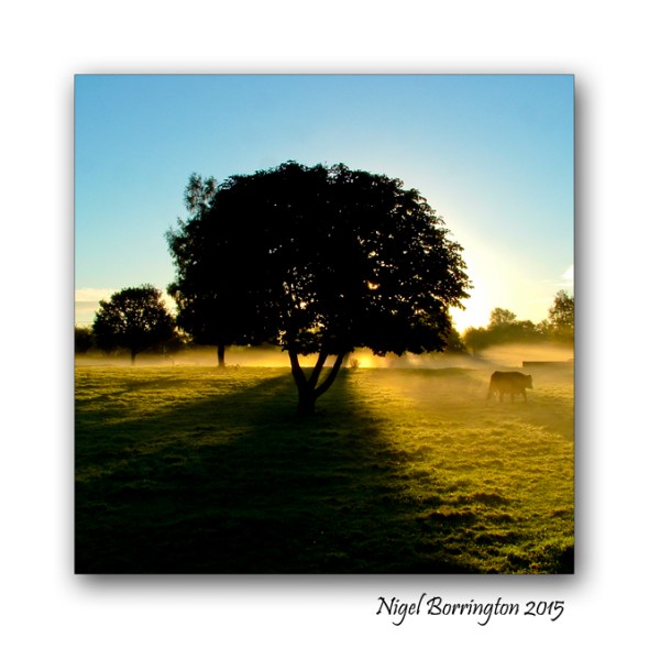 Kilkenny Landscape Images Nigel Borrington