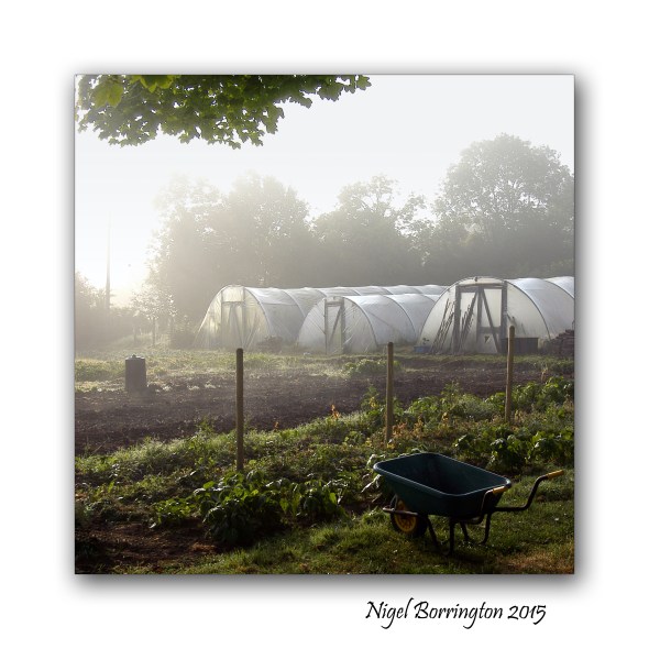 Kilkenny Landscape Images 06