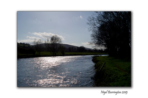 River of life, River Suir Clonmel , Ireland Landscape Photography : Nigel Borrington