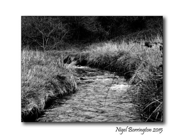 I walk along a river Landscape Photography : Nigel Borrington