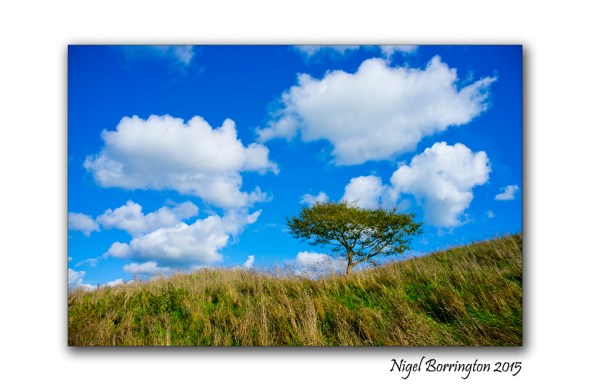 Irish Landscape KIlkenny_01