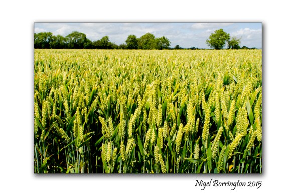 burnchurch county Kilkenny