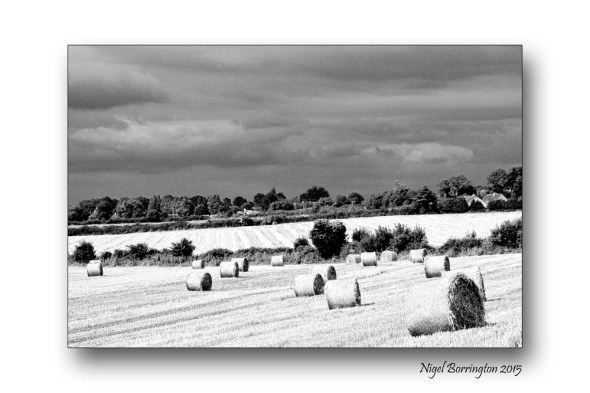 Kilkenny landscape images  August in black and white 2