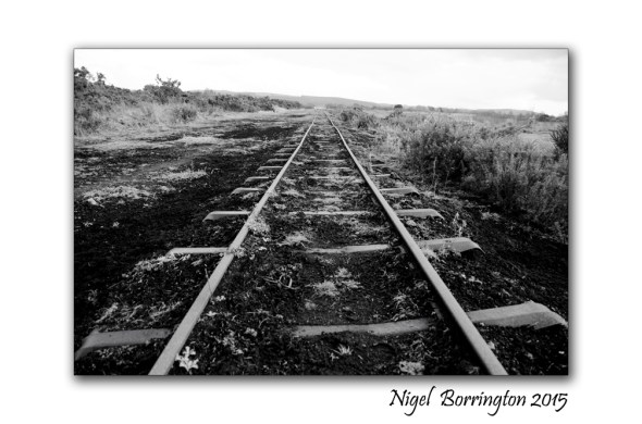 Peat train Littleton bog