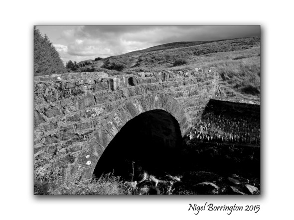 The Bridge Builder  Irish Landscapes Nigel Borrington