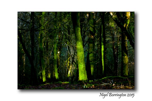 Irish Landscapes Nigel Borrington 