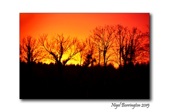 December Sunset Kilkenny landscape Photography 1