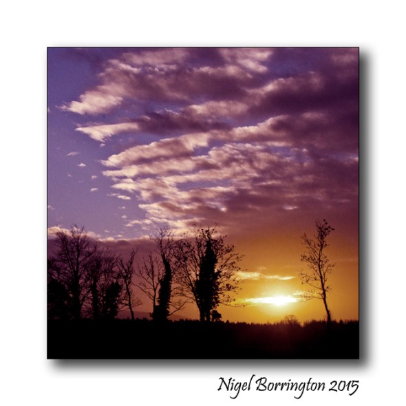 William Aggeler, The Flowers of Evil 1