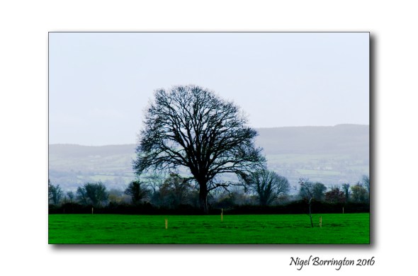 County Kilkenny by Cycle 03