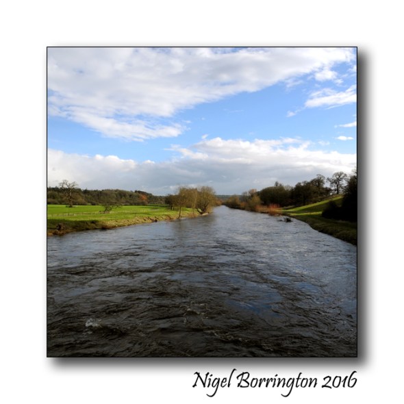 Mount Juliet Estate river Kilkenny Nigel Borrintgon