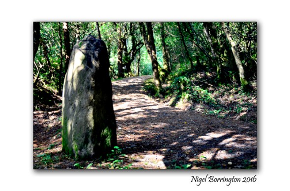 Ancient Ireland Standing stones Nigel Borrington